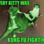 Stolen Memes Week™ an AndrewFinlayson event July 17-24.  RayCat gets it, thanks RayCat! Those cats were fast as lightning! | EVERY KITTY WAS; KUNG FU FIGHTING | image tagged in raycat kicking raydog,stolen memes week,it's not stolen it's not a repost it's a meme,memes,thanks raycat,raycat is awesome | made w/ Imgflip meme maker