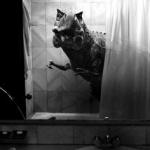 T Rex in Bathroom