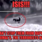 Goat + ISIS | ISIS!!! IF WE CAN'T STOP THEM FROM RAPING OUR FARM ANIMAL'S, THE TERRORISTS HAVE WON | image tagged in goat  isis | made w/ Imgflip meme maker