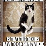 cat pee pee dance | THE BAD THING ABOUR DETOXING; IS THAT THE TOXINS HAVE TO GO SOMEWHERE | image tagged in cat pee pee dance | made w/ Imgflip meme maker