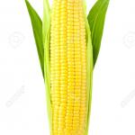 Memes, Corn