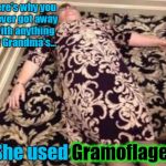 Stolen from Evilmandoevil! Stolen Memes Week™ an AndrewFinlayson event | Here's why you never got away with anything at Grandma's... She used Gramoflage! Gramoflage! | image tagged in gramoflage,memes,funny,evilmandoevil,shamelessly stolen,stolen memes week | made w/ Imgflip meme maker