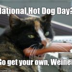 National Hot Dog Day, 19 JULY. Like we need an excuse. The hot dog is King! Long live the King! | National Hot Dog Day? Go get your own, Weiner. | image tagged in hot dog cat,hot dog,national hot dog day,long live the king | made w/ Imgflip meme maker