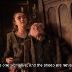 GOT Arya Stark Walder Freay | 'Leave one wolf alive, and the sheep are never safe' | image tagged in got arya stark walder freay | made w/ Imgflip meme maker