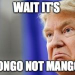 Trump Mad | WAIT IT'S; MONGO NOT MANGO? | image tagged in trump mad | made w/ Imgflip meme maker
