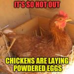 It's so hot | IT'S SO HOT OUT; CHICKENS ARE LAYING POWDERED EGGS | image tagged in powdered eggs,chicken,hot,memes,so hot right now | made w/ Imgflip meme maker