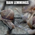Snails on wet pavement | RAIN LEMMINGS | image tagged in snails on wet pavement | made w/ Imgflip meme maker