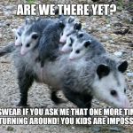 Possum Pun | ARE WE THERE YET? I SWEAR IF YOU ASK ME THAT ONE MORE TIME WE ARE TURNING AROUND! YOU KIDS ARE IMPOSSUMABLE! | image tagged in possum family | made w/ Imgflip meme maker