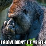 Harambe Middle Finger | THE GLOVE DIDN'T FIT ME EITHER | image tagged in harambe middle finger | made w/ Imgflip meme maker