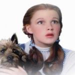 Dorothy and Toto meme