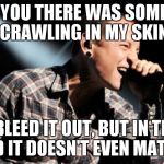 linkin park crawling | I TOLD YOU THERE WAS SOMETHING CRAWLING IN MY SKIN; I BLEED IT OUT, BUT IN THE END IT DOESN'T EVEN MATTER | image tagged in linkin park crawling | made w/ Imgflip meme maker