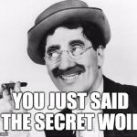 Secret word | YOU JUST SAID THE SECRET WOID | image tagged in groucho marx,secret word | made w/ Imgflip meme maker