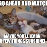 Confident Cat | GO AHEAD AND WATCH; MAYBE YOU'LL LEARN A FEW THINGS SUNSHINE! | image tagged in cats in sink | made w/ Imgflip meme maker