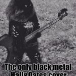 Some will say "Whatever possessed you to...?" Some will reply "Satan obviously!" The truth? ILikeCatsandMusicandI'mWeird | DethByeHayrbahl; The only black metal Hall&Oates cover band known to man | image tagged in funny,black metal cat,cats,animals,memes,music | made w/ Imgflip meme maker