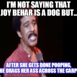 Richard Pryor | I'M NOT SAYING THAT JOY BEHAR IS A DOG BUT... AFTER SHE GETS DONE POOPING, SHE DRAGS HER ASS ACROSS THE CARPET | image tagged in richard pryor | made w/ Imgflip meme maker