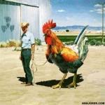 BIG COCK