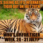 Who's up for it? 24 - 31 July, Tiger week, by me, TigerLegend1046 | GUYS, SEEING AS IT'S INTERNATIONAL TIGER DAY ON JULY 29TH, WHO'S UP FOR TIGER WEEK, 24 - 31 JULY? | image tagged in srsly tiger,memes,tiger,tiger day,tiger week,who's up for it | made w/ Imgflip meme maker