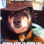 Scumbag Dog | YOUR BOYFRIEND IS MEETING THE FAMILY TODAY? GONNA HAVE TO HUMP THE LIVING HELL OUT OF HIS LEG | image tagged in scumbag dog | made w/ Imgflip meme maker