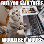 Computer Cat | BUT YOU SAID THERE; WOULD BE A MOUSE | image tagged in computer cat | made w/ Imgflip meme maker