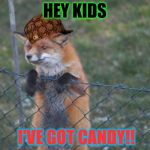 FOX WANNA BUY | HEY KIDS; I'VE GOT CANDY!! | image tagged in fox wanna buy,scumbag | made w/ Imgflip meme maker