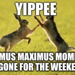 Rabbits Fighting | YIPPEE; BOSSIMUS MAXIMUS MOMMISUS IS GONE FOR THE WEEKEND | image tagged in rabbits fighting | made w/ Imgflip meme maker