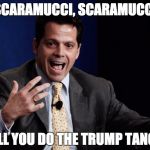 Scaramucci | SCARAMUCCI, SCARAMUCCI; WILL YOU DO THE TRUMP TANGO? | image tagged in scaramucci | made w/ Imgflip meme maker