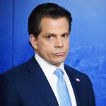 Scaramucci