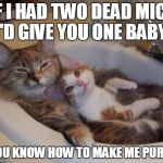 Cat Sex Talk | IF I HAD TWO DEAD MICE I'D GIVE YOU ONE BABY! YOU KNOW HOW TO MAKE ME PURR! | image tagged in cats in sink | made w/ Imgflip meme maker