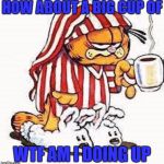 Garfield | HOW ABOUT A BIG CUP OF; WTF AM I DOING UP | image tagged in garfield | made w/ Imgflip meme maker