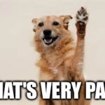 Dog paw | THAT'S VERY PAW | image tagged in dog paw | made w/ Imgflip meme maker