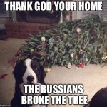 Dog Christmas Tree | THANK GOD YOUR HOME; THE RUSSIANS BROKE THE TREE | image tagged in dog christmas tree,memes,repost,reposts,stolen memes week | made w/ Imgflip meme maker