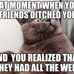 suprise cat | THAT MOMENT WHEN YOUR FRIENDS DITCHED YOU; AND  YOU REALIZED THAT THEY HAD ALL THE WEED | image tagged in suprise cat | made w/ Imgflip meme maker