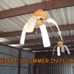 Droopy Fan | WHEN IT'S SUMMER IN FLORIDA | image tagged in droopy fan | made w/ Imgflip meme maker