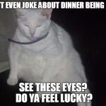 Dinner Late? | DON'T EVEN JOKE ABOUT DINNER BEING LATE! SEE THESE EYES? DO YA FEEL LUCKY? | image tagged in snowball,cats | made w/ Imgflip meme maker