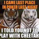 Tiger week, July 24 - 31, a TigerLegend1046 event | I CAME LAST PLACE IN POKER LAST NIGHT; I TOLD YOU NOT TO PLAY WITH CHEETAHS | image tagged in two tigers,memes,tiger week,tigerlegend1046 | made w/ Imgflip meme maker