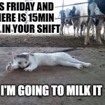 when monday is your friday  | IT'S FRIDAY AND THERE IS 15MIN LEFT IN YOUR SHIFT; I'M GOING TO MILK IT | image tagged in all good cat,friday,memes,cats,funny | made w/ Imgflip meme maker