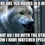 Direwolf | THERE ARE 168 HOURS IN A WEEK; WHAT DO I DO WITH THE OTHER 167 NOW I HAVE WATCHED EPISODE 2? | image tagged in direwolf | made w/ Imgflip meme maker