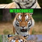 Tiger Puns (Tiger Week July 24 - 31... A TigerLegend1046 Event) | WHICH COURSE GIVES TIGER WOODS THE MOST TROUBLE? INTERCOURSE! | image tagged in tiger puns,tiger woods,jokes,memes,tiger week,laughs | made w/ Imgflip meme maker