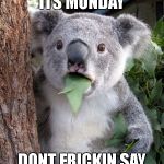 koala monday | DONT SAY ITS MONDAY; DONT FRICKIN SAY ITS MONDAY!!!!!!!!!!!! | image tagged in koala monday | made w/ Imgflip meme maker