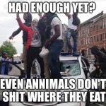 Riot | HAD ENOUGH YET? EVEN ANNIMALS DON'T SHIT WHERE THEY EAT | image tagged in riot | made w/ Imgflip meme maker