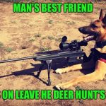 Sniper Dog | MAN'S BEST FRIEND; WHEN HE'S ON LEAVE HE DEER HUNT'S WITH YOU | image tagged in sniper dog | made w/ Imgflip meme maker