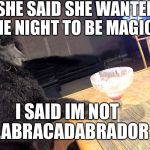 Im not Mr. Poof | SHE SAID SHE WANTED THE NIGHT TO BE MAGICAL; I SAID IM NOT A LABRACADABRADOR ! | image tagged in noah gump at bar,funny joke meme,run noah run,mtr602,youtube | made w/ Imgflip meme maker