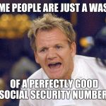Gordon Ramsey  | SOME PEOPLE ARE JUST A WASTE; OF A PERFECTLY GOOD SOCIAL SECURITY NUMBER | image tagged in gordon ramsey | made w/ Imgflip meme maker