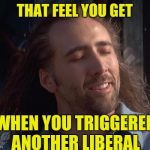 Nick Caged Bird Sings | THAT FEEL YOU GET; WHEN YOU TRIGGERED ANOTHER LIBERAL | image tagged in nick caged bird sings | made w/ Imgflip meme maker