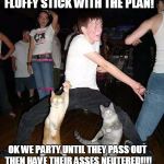 Cats Dancing | FLUFFY STICK WITH THE PLAN! OK WE PARTY UNTIL THEY PASS OUT THEN HAVE THEIR ASSES NEUTERED!!!! | image tagged in cats dancing | made w/ Imgflip meme maker