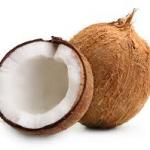 friendly killer coconut