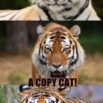 Brought Dash's meme back for Tiger Week, July 24 - 31, a TigerLegend1046 event | WHAT DO YOU CALL A TIGER USING A PRINTER? A COPY CAT! | image tagged in tiger puns,tiger week,tiger,tigerlegend1046,dashhopes,printer | made w/ Imgflip meme maker