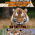 Big Cat Pun; Tiger Week, July 24-31, a TigerLegend1046 Event | WHERE DOES TIGER WOODS FEEL MOST AT HOME? ON THE LYNX | image tagged in tiger puns,tiger woods,tiger week,tigers,memes | made w/ Imgflip meme maker