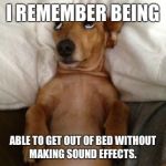 Getting old | I REMEMBER BEING; ABLE TO GET OUT OF BED WITHOUT MAKING SOUND EFFECTS. | image tagged in dog in bed | made w/ Imgflip meme maker