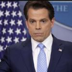 anthony scaramucci